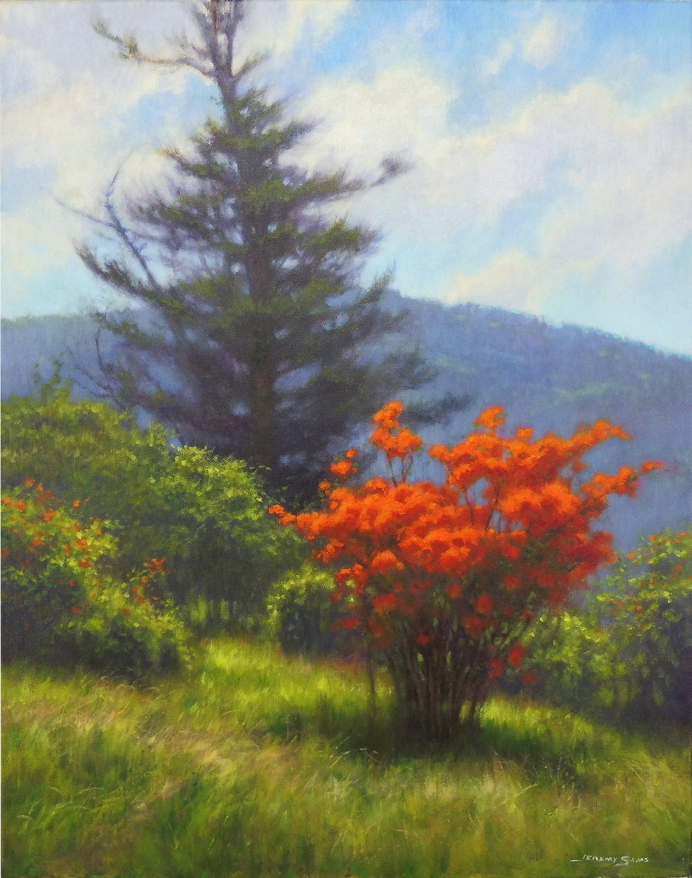 painting of flaming azalea on Roan Mountain painted by North Carolina artist Jeremy Sams