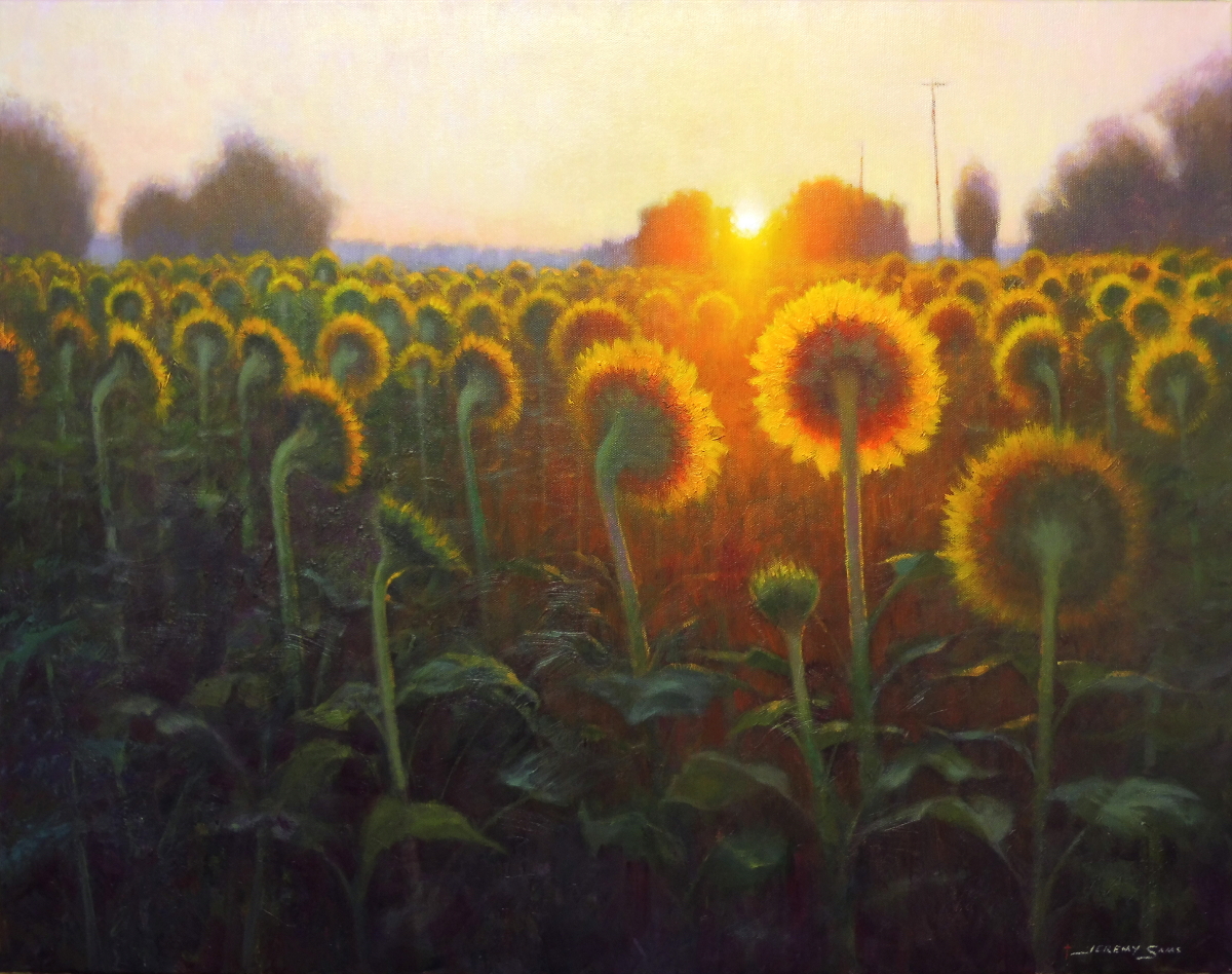 painting of sunflowers at sunrise near Salisbury, North Carolina by North Carolina artist Jeremy Sams