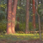 plein air painting of trees with evening sun illuminating by North Carolina artist Jeremy Sams