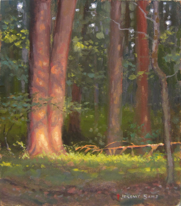 plein air painting of trees with evening sun illuminating by North Carolina artist Jeremy Sams