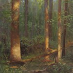 plein air painting of sun lit trees by North Carolina artist Jeremy Sams