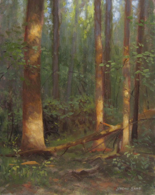 plein air painting of sun lit trees by North Carolina artist Jeremy Sams