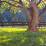 tree at hollybrook stables plein air carolina