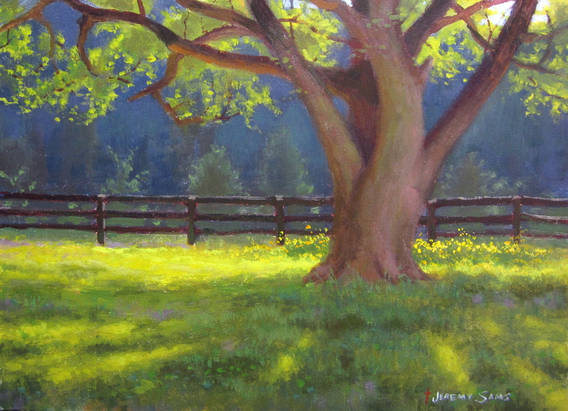 tree at hollybrook stables plein air carolina