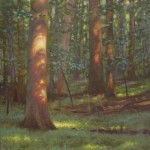 plein air painting of sunspots on trees in the forest