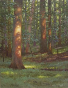 plein air painting of sunspots on trees in the forest