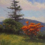 plein air painting of Flame azaleas on Roan Mountain by North Carolina artist Jeremy Sams