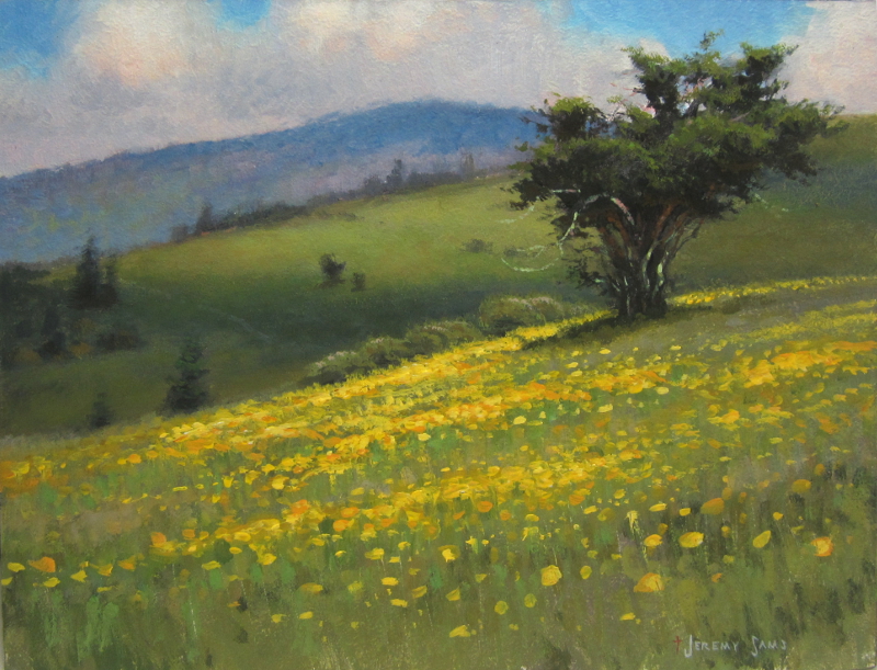 Wildflowers on Jane Bald plein air painting by North Carolina artist Jeremy Sams