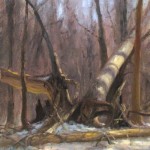 plein air painting of fallen trees in snow by North Carolina artist Jeremy Sams