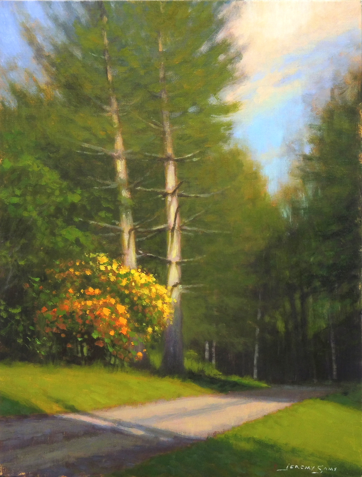 plein air painting of hemlock and azaleas by North Carolina artist Jeremy Sams