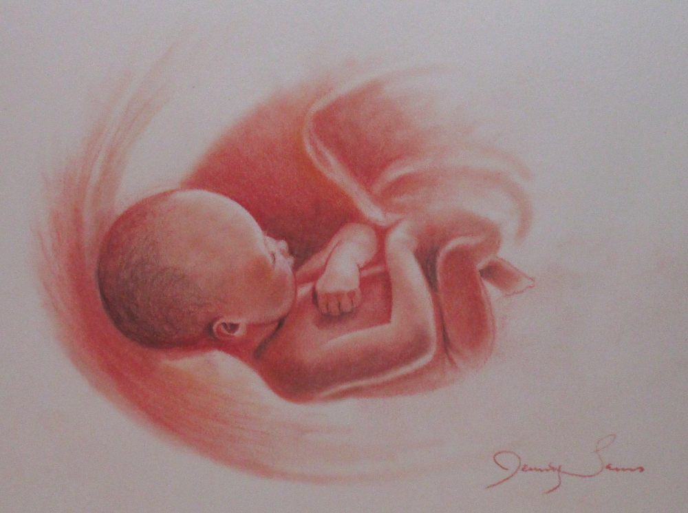 pastel pencil sketch portrait baby in the womb