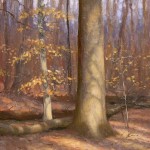 plein air painting of face-lit trees