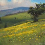 Wildflowers on Jane Bald plein air painting by North Carolina artist Jeremy Sams