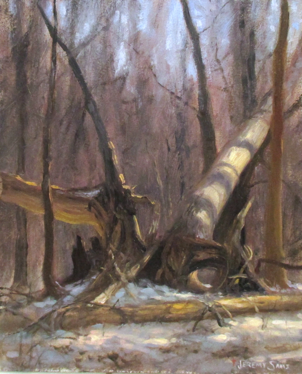 plein air painting of fallen trees in snow by North Carolina artist Jeremy Sams