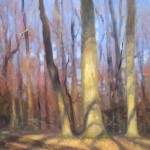 plein air painting of sunlight on trees by North carolina artist Jeremy Sams