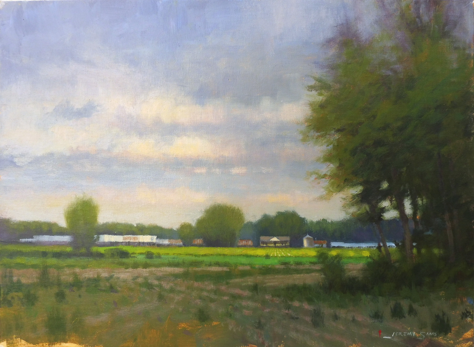 plein air painting of green fields near Kinston by North Carolina artist Jeremy Sams